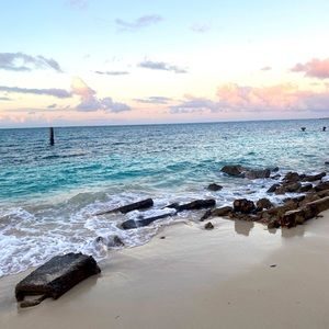 Meet your Posher, Alicia